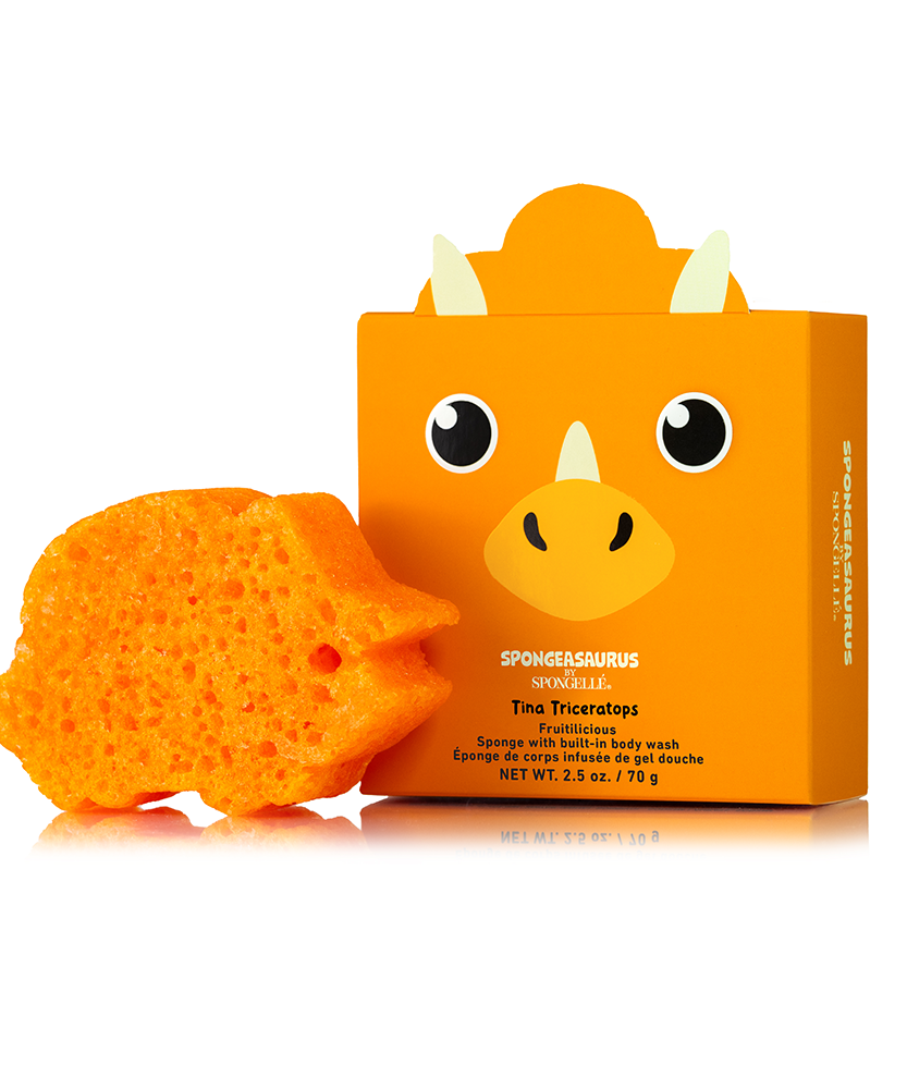 Sally Stegosaurus & Tina Triceratops Dinosaur Set