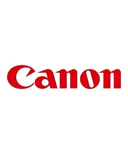 Canon 4981C001 (PG-275XL) Chromalife 100 High-Yield Ink, 400 Page-Yield, Black