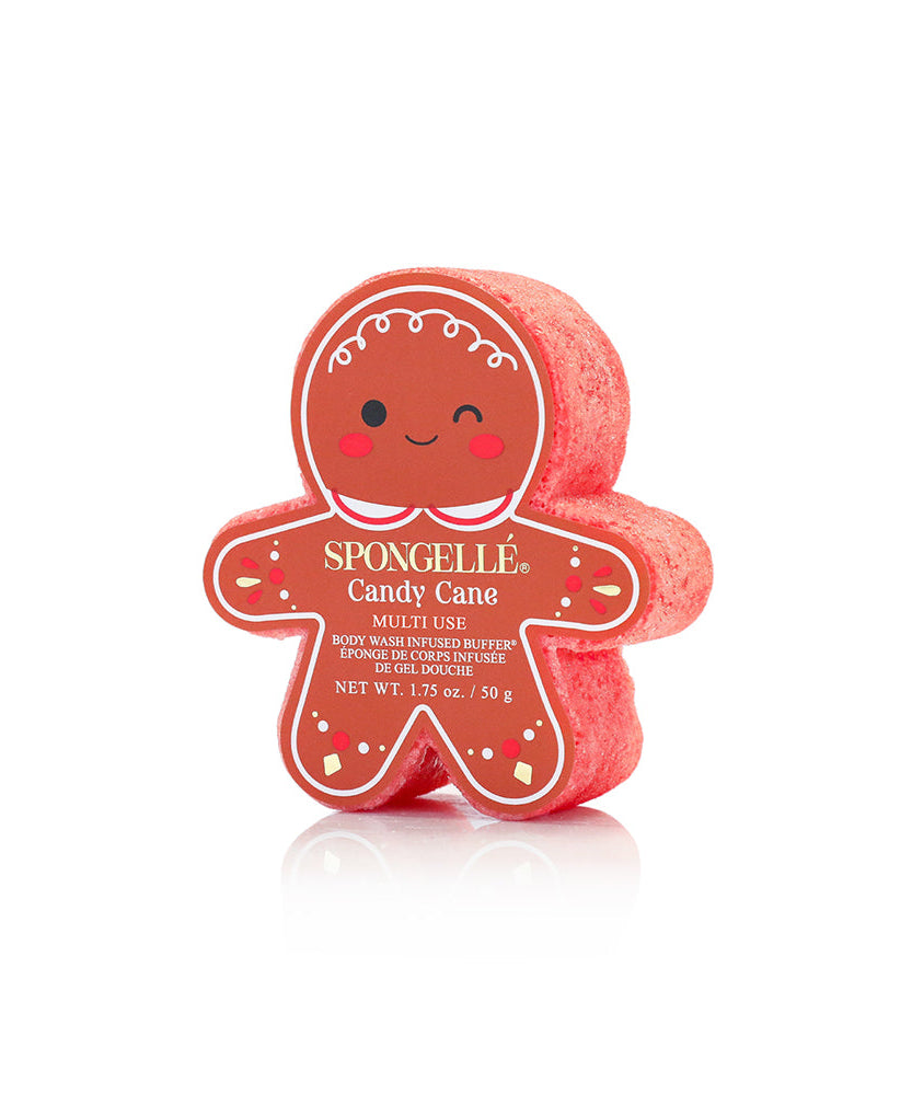 Holiday Gingerbread Multi-Use Assorted Pack