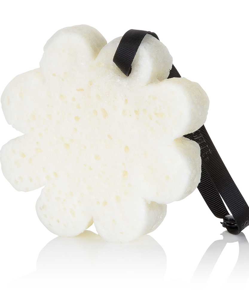 Black Orchid | Boxed Flower