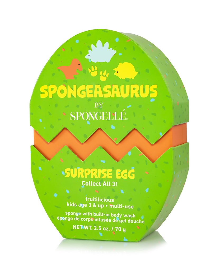 Stegosaurus Dinosaur Buffer