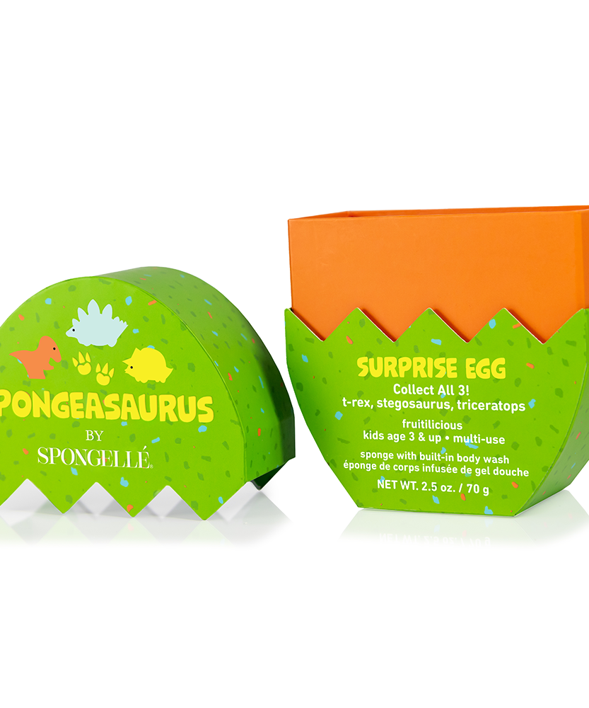 Stegosaurus Dinosaur Buffer