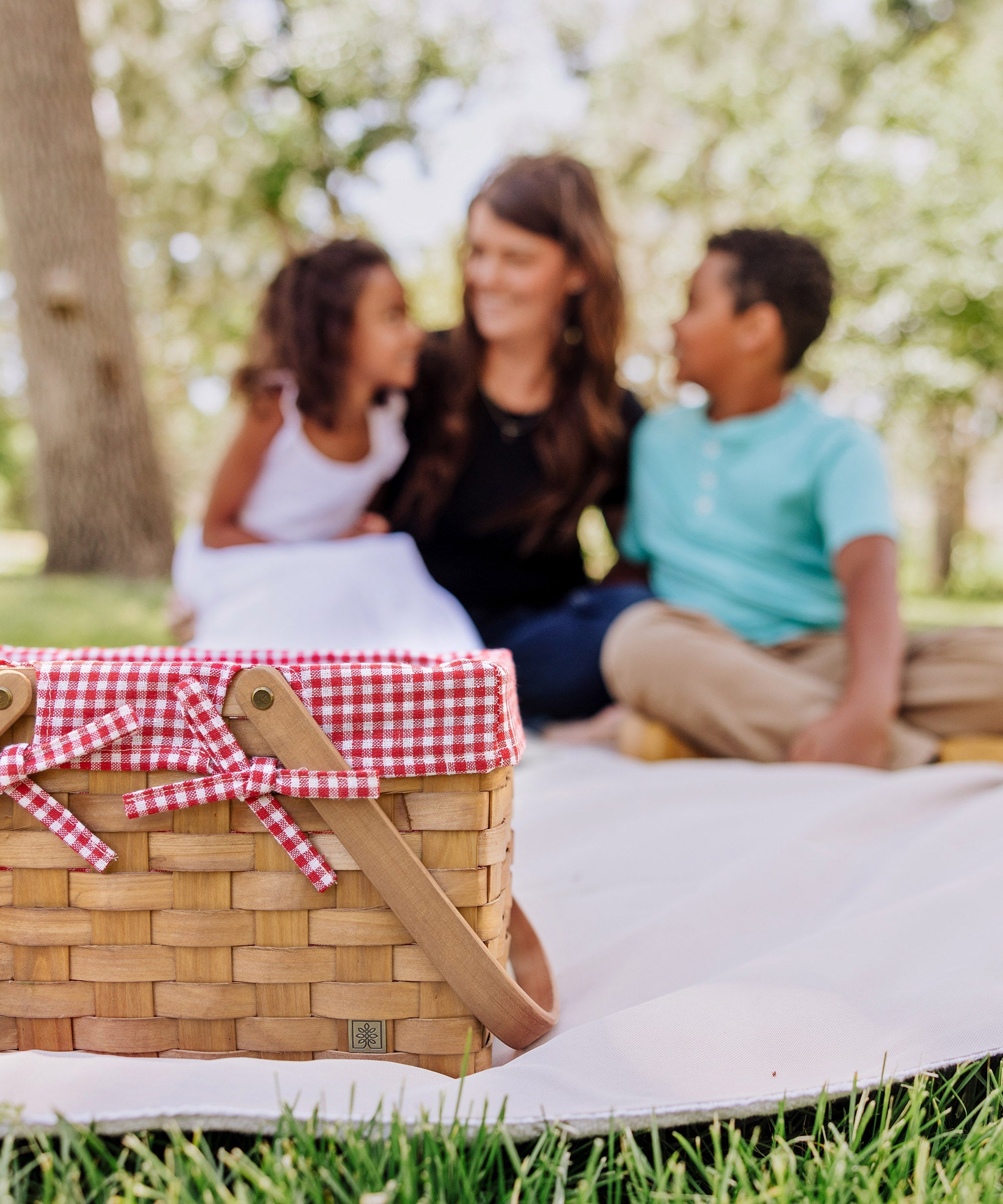 Piccola Picnic Basket
