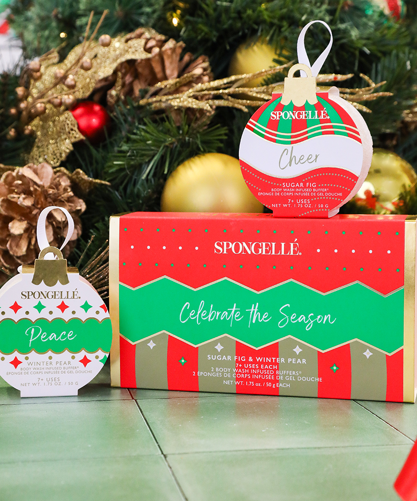 Celebrate the Season | Holiday Ornament Gift Set - Grazingbelles