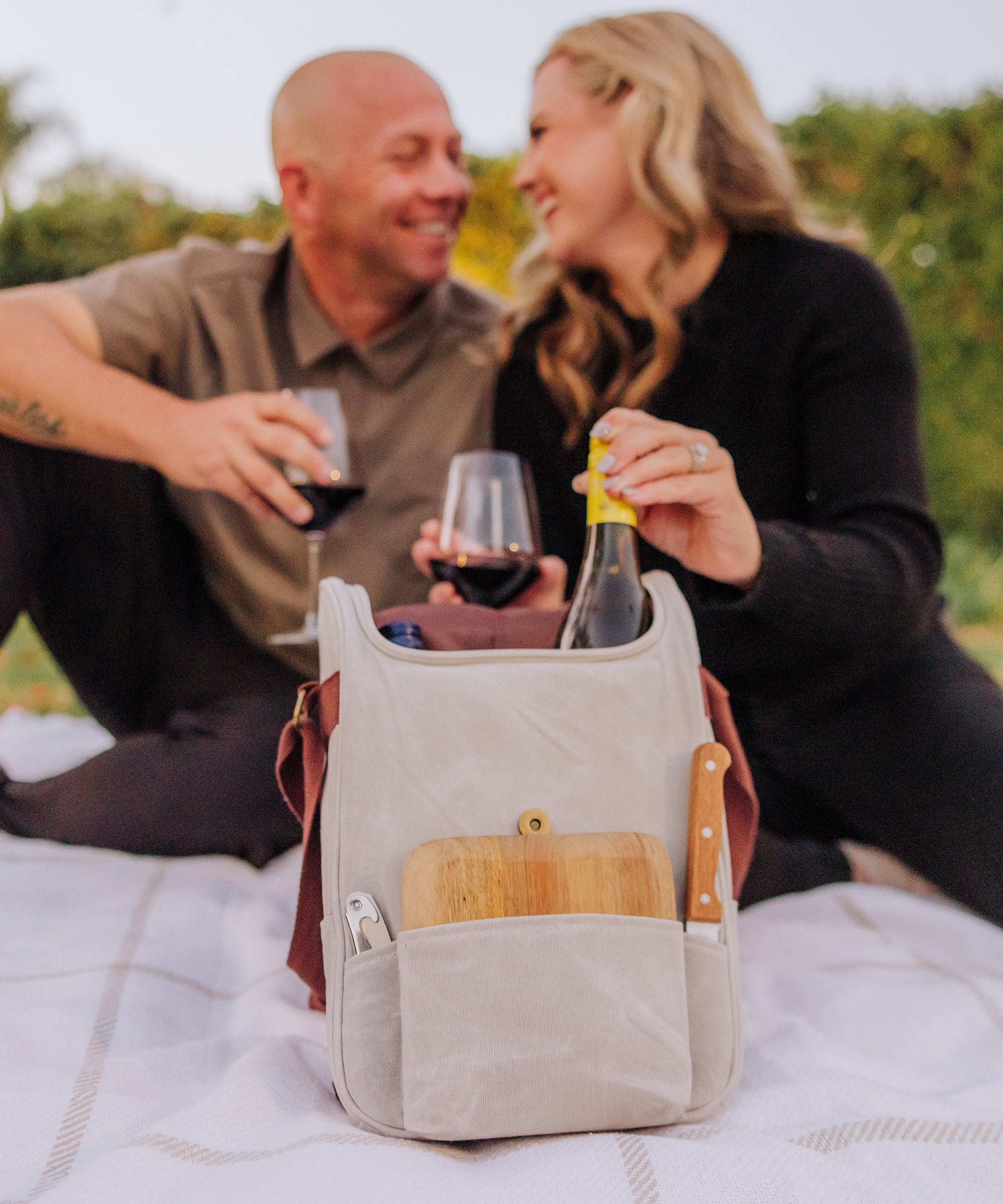 2 Bottle Insulated Wine & Cheese Cooler Tote