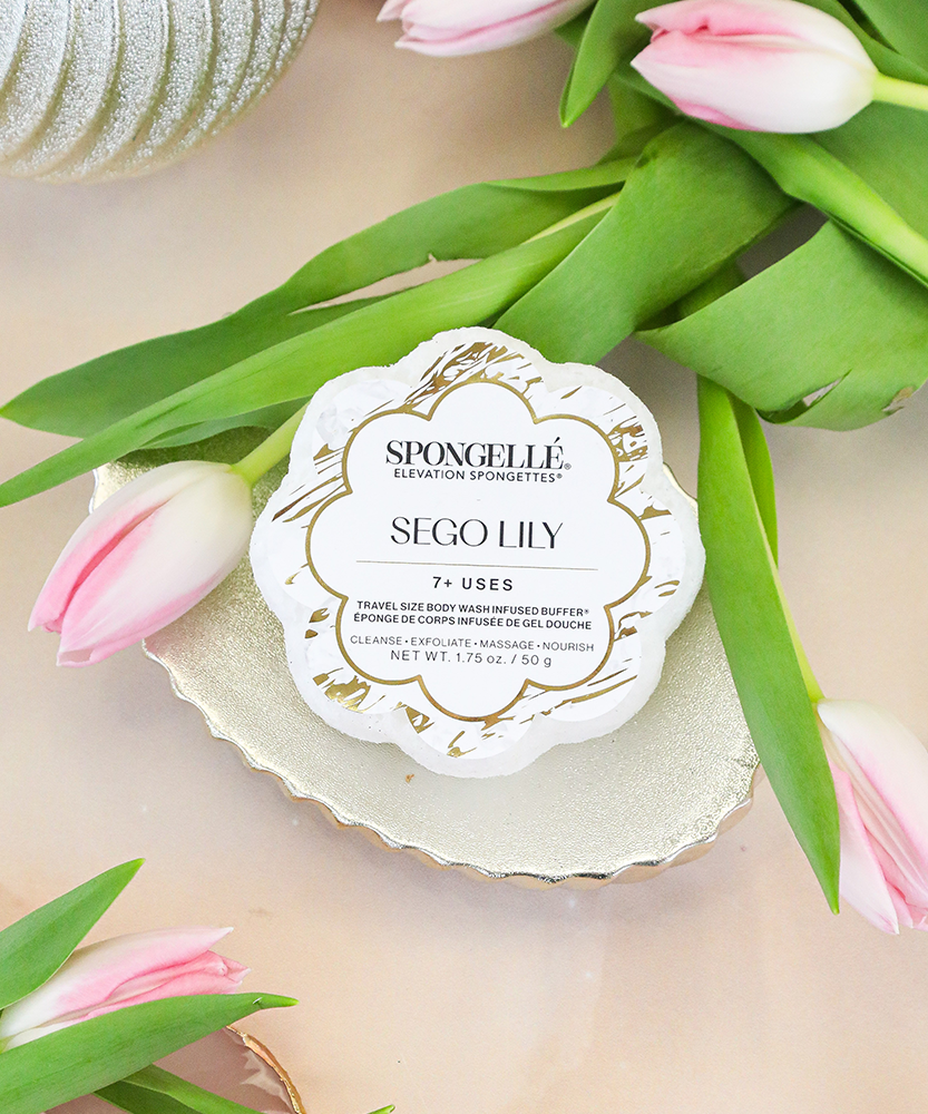 Sego Lily | Elevation Spongette