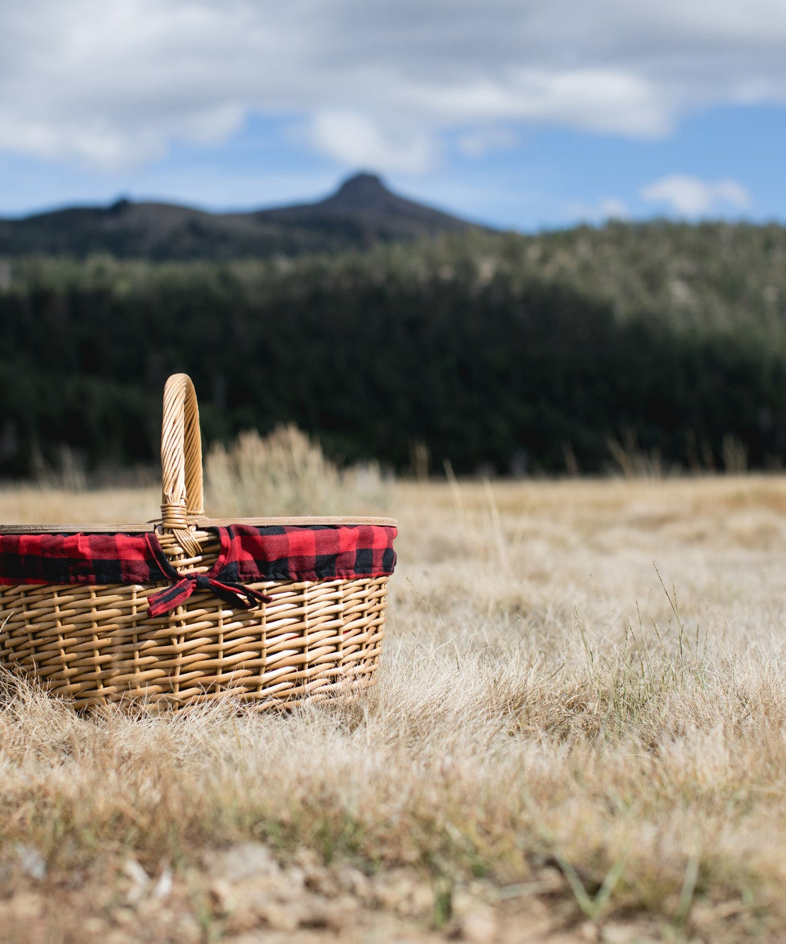 Country Picnic Basket