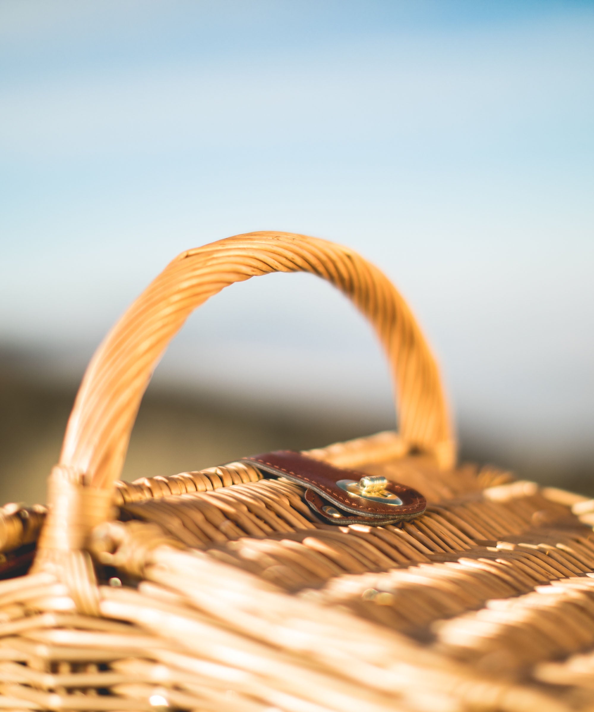 Piccadilly Picnic Basket