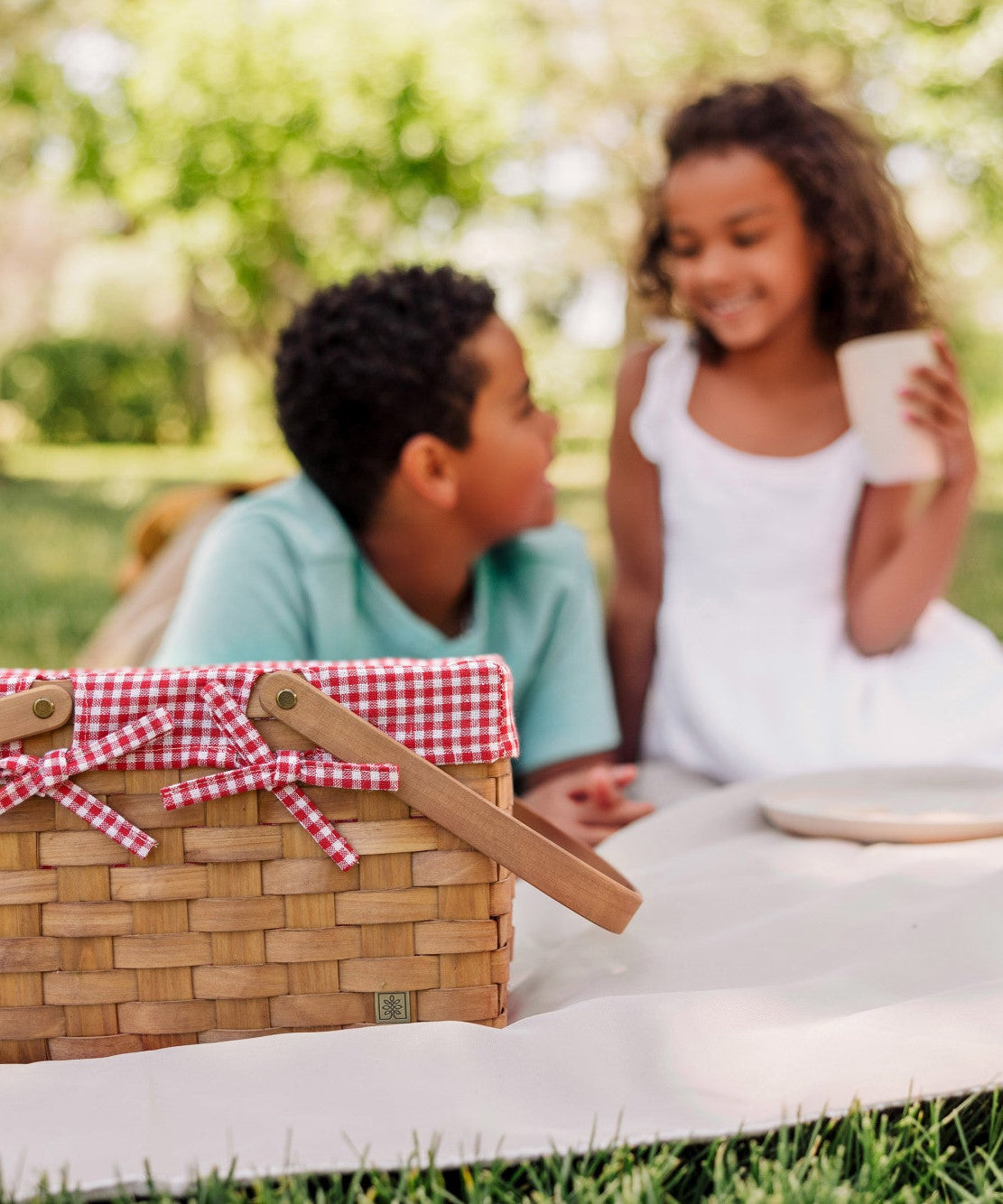 Piccola Picnic Basket
