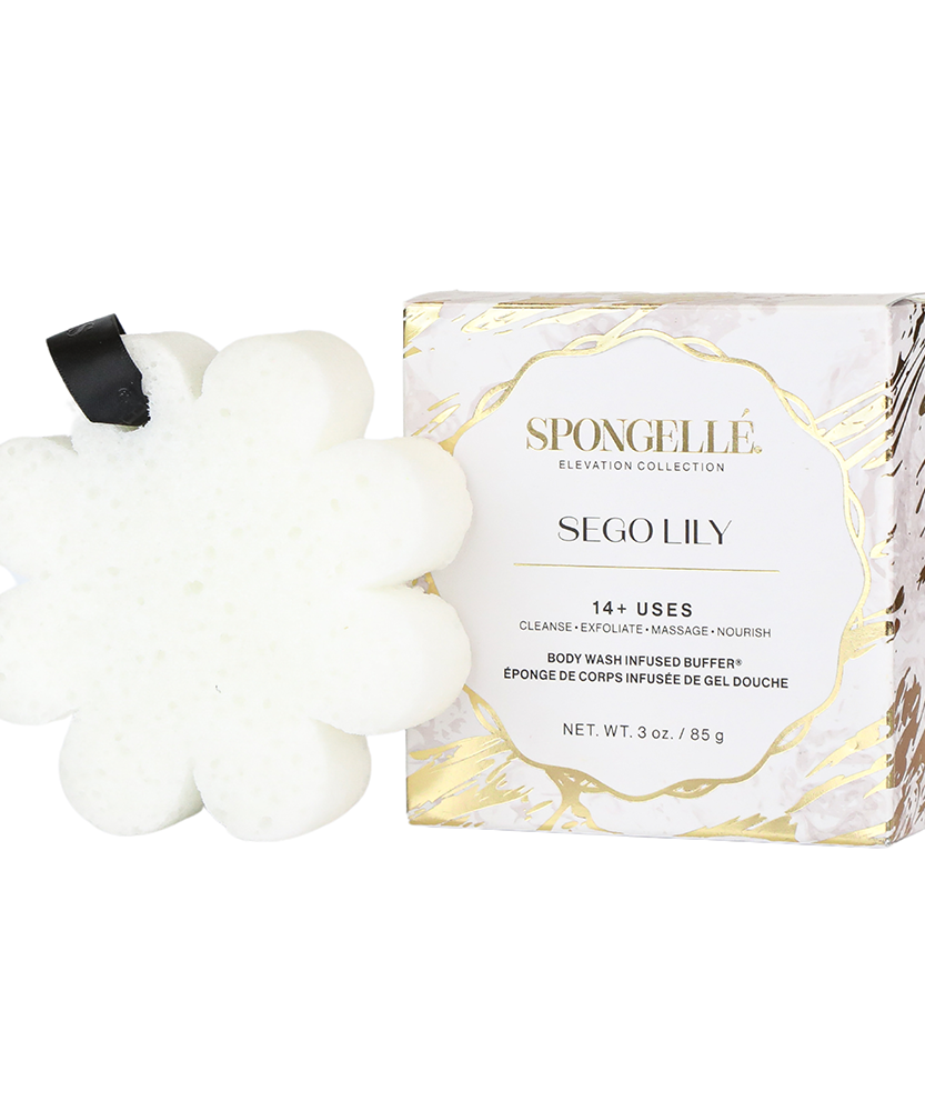 Sego Lily | Elevation Boxed Flower