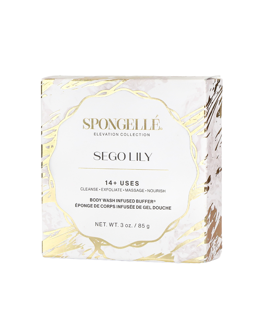 Sego Lily | Elevation Boxed Flower
