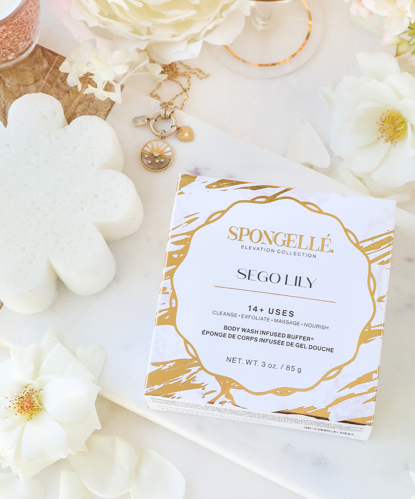 Sego Lily | Elevation Boxed Flower