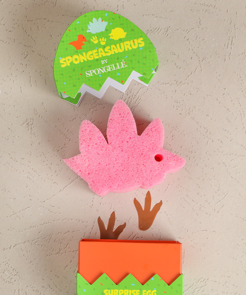 Stegosaurus Dinosaur Buffer