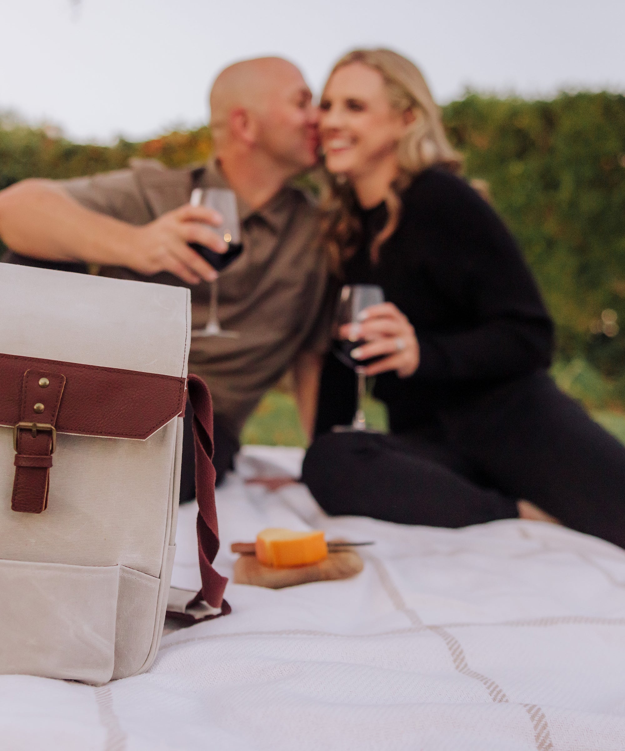 2 Bottle Insulated Wine & Cheese Cooler Tote